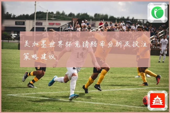 美加墨世界杯竞猜赔率分析及投注策略建议